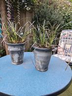 2 stenen potten met zwart gras of slangebaard, Ophalen, Zomer, Overige soorten