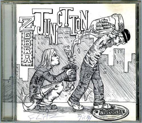 Waterborne - Zebra Junction, Cd's en Dvd's, Cd's | Rock, Zo goed als nieuw, Poprock, Ophalen of Verzenden