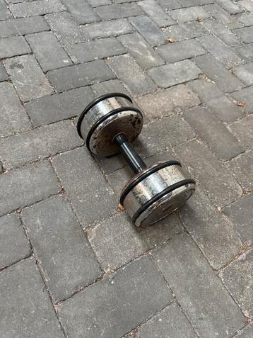 Dumbell 20kg gewicht fitness beschikbaar voor biedingen