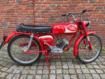 moto Morini Corsarino Z 4 takt concoursstaat  beschikbaar voor biedingen