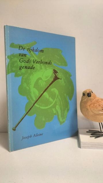 Alleine, Joseph; De rijkdom van Gods Verbonds genade  beschikbaar voor biedingen