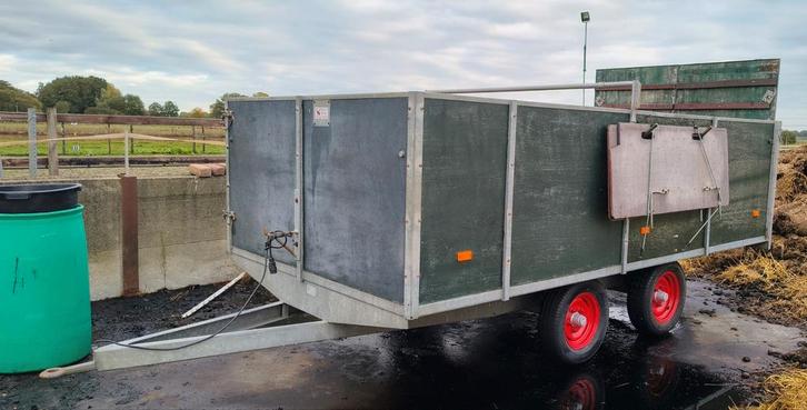 Schapen veewagen, Dieren en Toebehoren, Schapen, Geiten en Varkens, Schaap