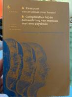 Boek Keerpunt van psychose naar herstel, Boeken, Ophalen of Verzenden