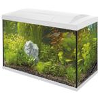 SuperFish Start 70 aquarium voor zoet en tropisch vissen, Dieren en Toebehoren, Ophalen, Gebruikt, Leeg aquarium