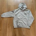 Essentials fear of god, Kleding | Heren, Truien en Vesten, Ophalen of Verzenden, Zo goed als nieuw