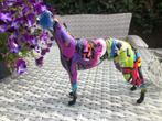 fleurig gekleurd whippet windhond hazewindhond, Ophalen of Verzenden