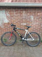 B1 Mountainbike Off-Road, Gebruikt, Hardtail, Heren, 53 tot 57 cm