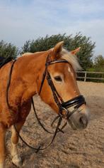 Rossner hoofdstel Full met lak neusriem, Dieren en Toebehoren, Ophalen of Verzenden, Zo goed als nieuw, Dressuur