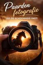 Paardenfotograaf fotoshoot.