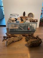 Hamster hok/spullen, Dieren en Toebehoren, 110 cm of meer, Ophalen of Verzenden, Zo goed als nieuw, 90 cm of meer