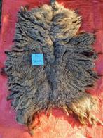 nr 19 Geschoren vacht van een skudde, Ophalen of Verzenden