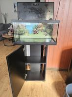 Eheim aquastar54led met Juwel onderkast, zwart, Dieren en Toebehoren, Vissen | Aquaria en Toebehoren, Ophalen, Zo goed als nieuw