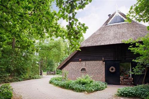 Vakantiehuis midden in de natuur, Vakantie, Vakantiehuizen | Nederland, Drenthe, Boerderij of Cottage, Landelijk, In bos, 2 slaapkamers