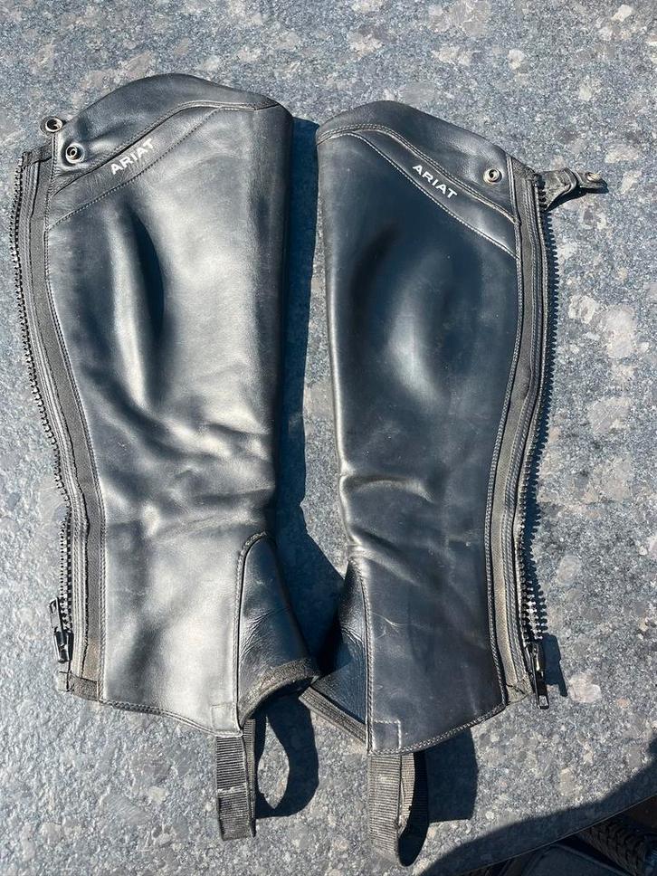 Chaps, Ariat pallisade, Dieren en Toebehoren, Paardrijkleding, Gebruikt, Dames, Schoeisel, Ophalen of Verzenden