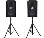 Peavey PV115 speakers, Audio, Tv en Foto, Luidsprekers, Overige merken, 120 watt of meer, Ophalen