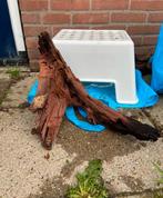 Aquariumhout kienhout XL, Ophalen of Verzenden, Plant(en), Steen of Hout