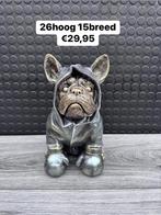 honden beeldje (franse bulldog), Info@woondecoratieeindhoven.nl, Info@woondecoratieeindhoven.nl, Nieuw, 5616kl