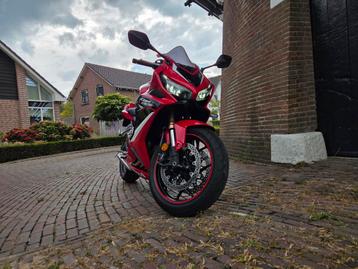 Honda CBR650R  beschikbaar voor biedingen