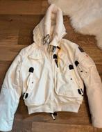 Parajumper jas wit winter jas, Maat 38/40 (M), Wit, Nieuw, Parajumpers