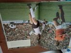 1000 Voetballers - De Beste Spelers Aller Tijden, Ophalen of Verzenden, Zo goed als nieuw, Onbekend, Balsport