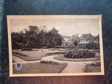 MEPPEL Rosarium  1949 beschikbaar voor biedingen