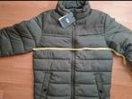 Jas, Kleding | Heren, Jassen | Winter, WE, Nieuw, Ophalen of Verzenden, Groen