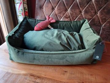 Honden / Kattenmand - zogoed als nieuw!  beschikbaar voor biedingen