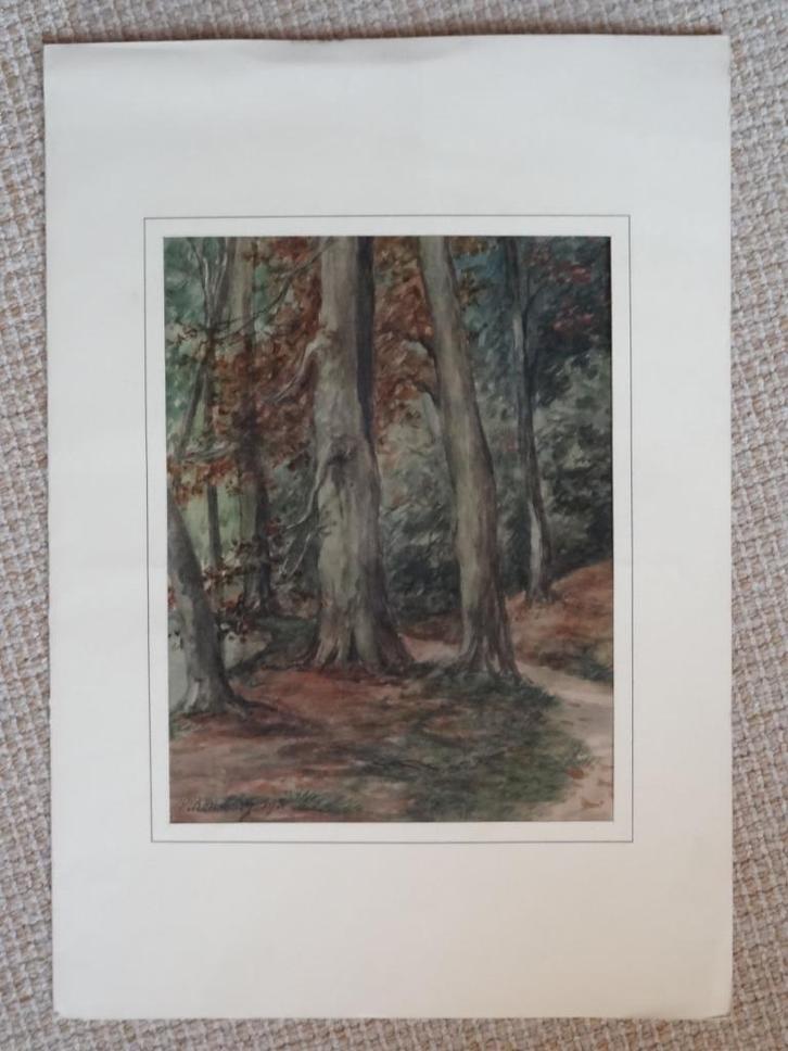 aquarel boszicht gesigneerd Eugène Rensburg 1893, Antiek en Kunst, Kunst | Schilderijen | Klassiek, Verzenden