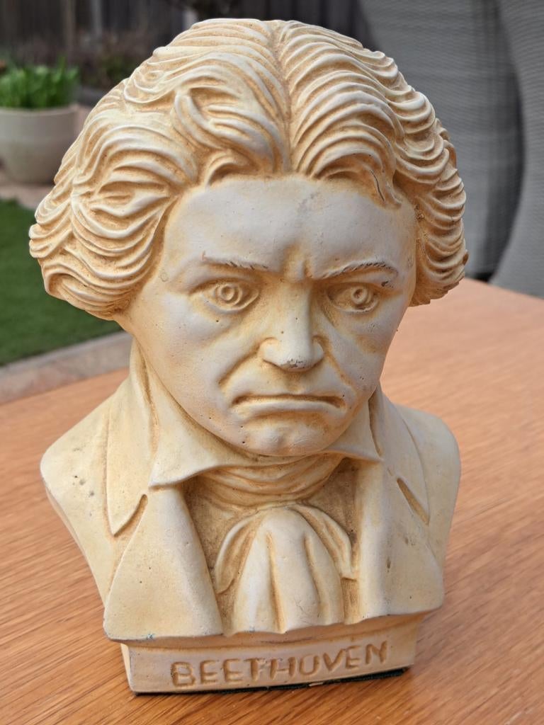 Buste van Beethoven - ca. 20 cm hoog, Ophalen of Verzenden, Zo goed als nieuw, Mens