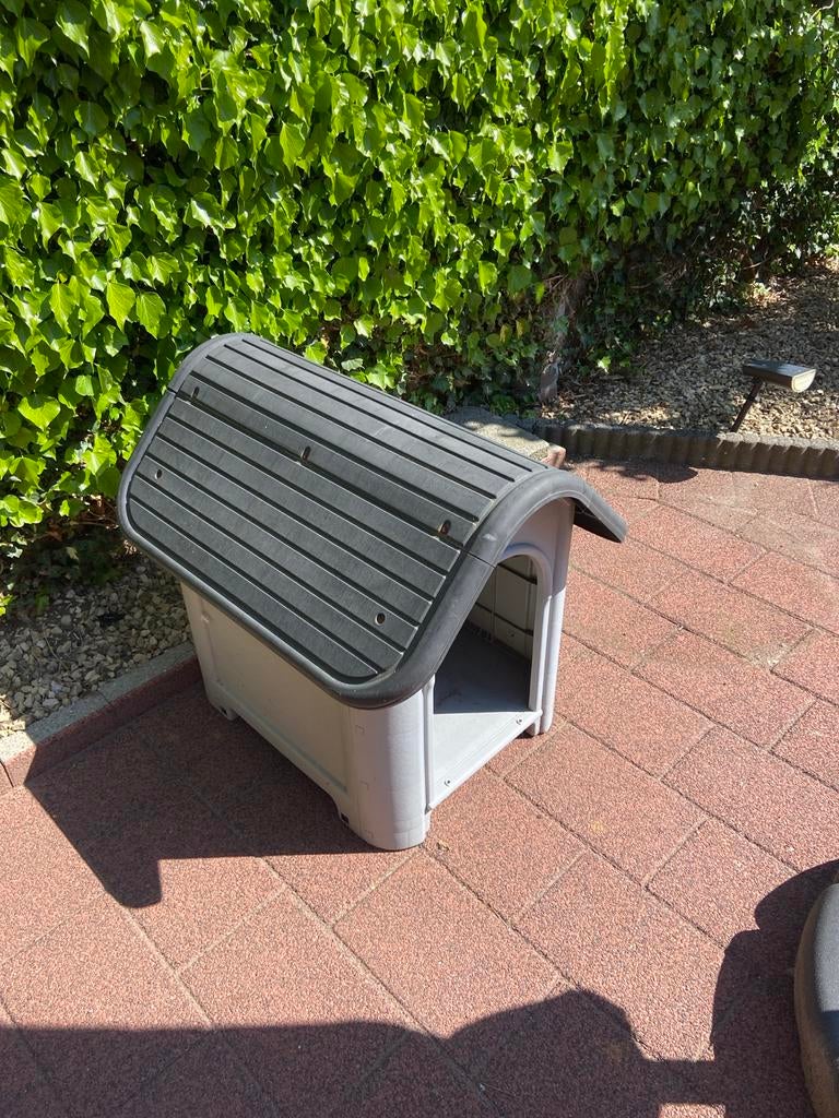 Honden hokje, Ophalen, Zo goed als nieuw, Minder dan 65 cm
