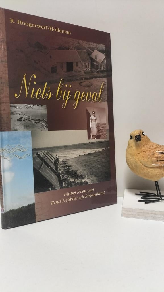 Hoogerwerf-Holleman, R.; Niets bij geval, Ophalen of Verzenden, Gelezen, Christendom | Protestants