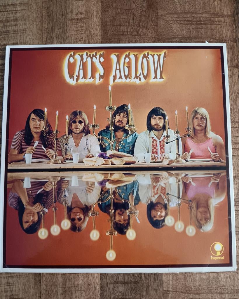 Lp Cats Aglow, Ophalen of Verzenden, Gebruikt, 12 inch, Pop