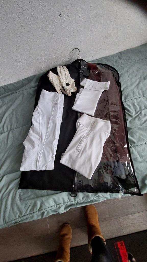 Wedstrijdset compleet mt 36, Dieren en Toebehoren, Ophalen of Verzenden, Zo goed als nieuw