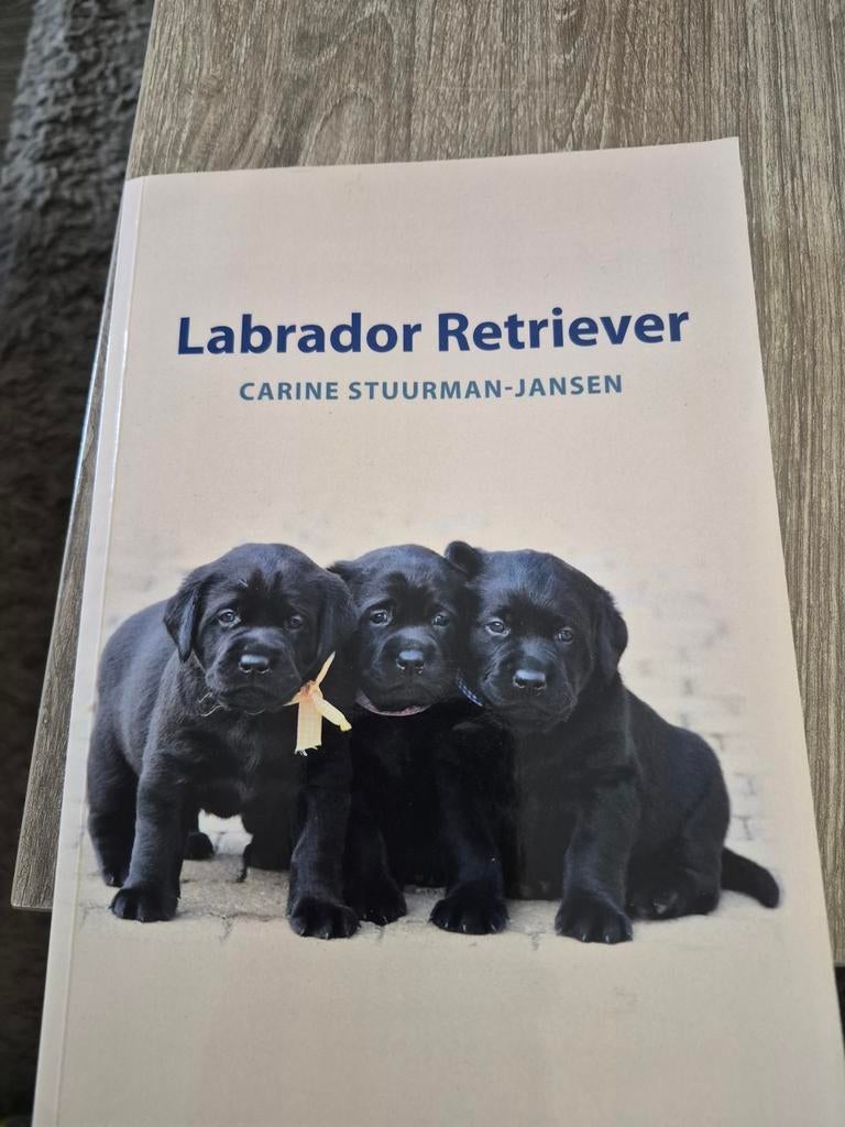 Boek: Labrador Retriever - Carine Stuurman-Jansen, Ophalen, Gelezen, Honden, Carine Stuurman-Jansen
