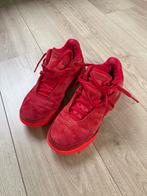 Nike Lebron NXXT Gen, Ophalen of Verzenden, Zo goed als nieuw, Schoenen