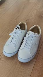 Esprit sneaker, Kinderen en Baby's, Babykleding | Schoentjes en Sokjes, Ophalen of Verzenden, Zo goed als nieuw