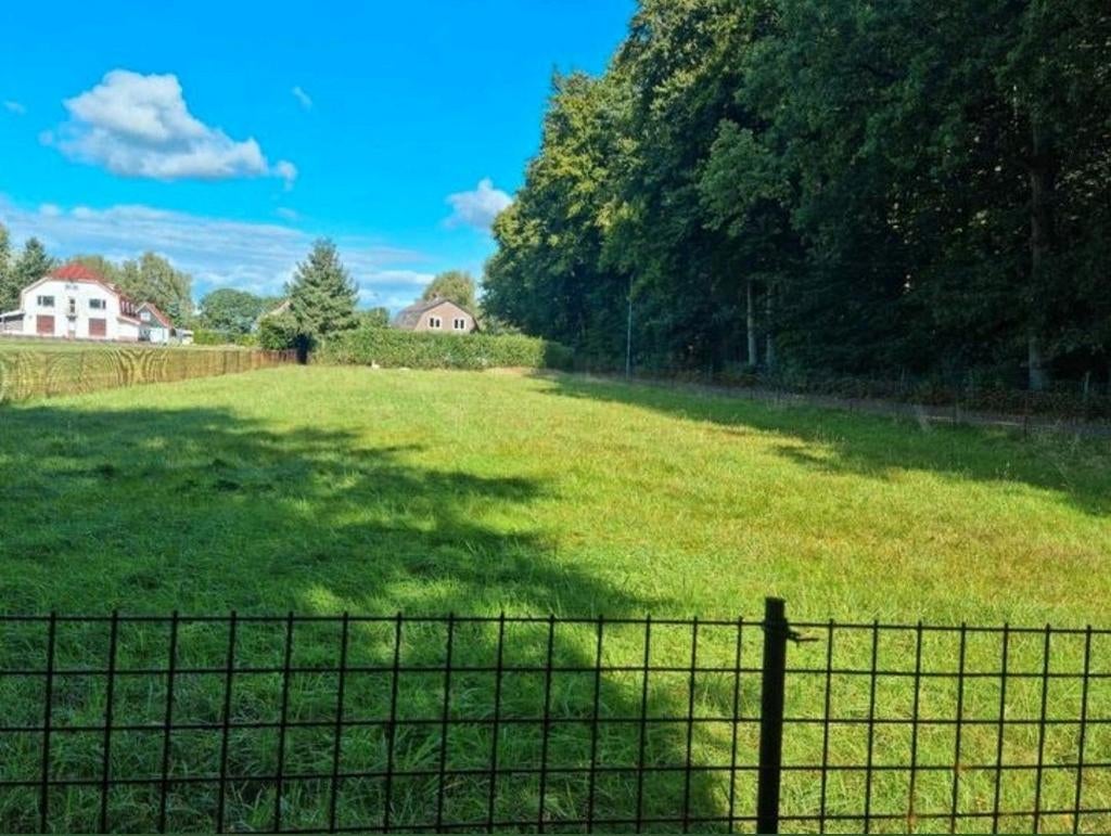 Nieuw! 120 meter betongaas! Maaswijdte 5x5cm hoogte 90/95cm, Ophalen, Nieuw, 20 meter of meer, Gaas