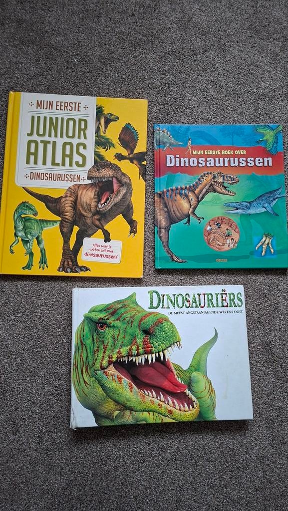 Drie dinosaurusboeken voor kinderen, Ophalen of Verzenden