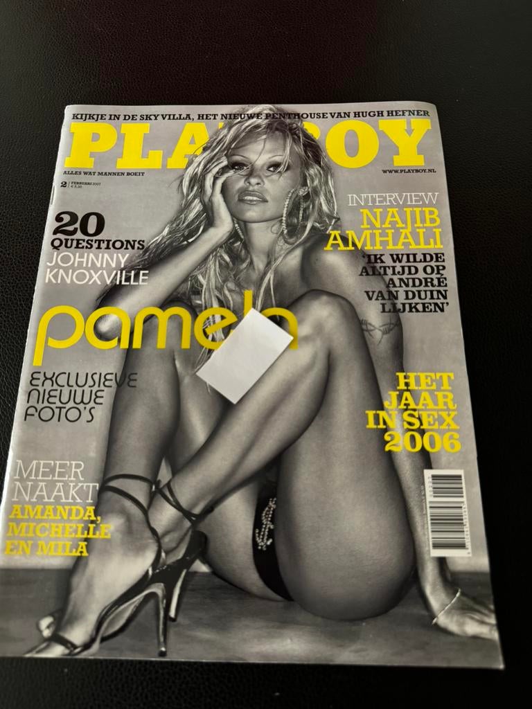 playboy met pamela 12.50 per stuk, Verzenden, 1980 tot heden, Tijdschrift