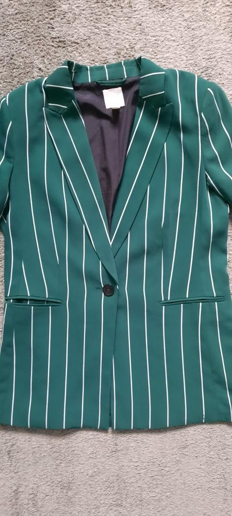 ZOMER JASJE / BLAZER  MAAT 42, Ophalen of Verzenden, Zo goed als nieuw, Maat 42/44 (L), Groen