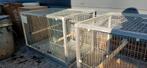 Aluminium kooi voliere kweekbox, Dieren en Toebehoren, Vogels | Hokken en Kooien, Ophalen of Verzenden, Aluminium, Vogelkooi