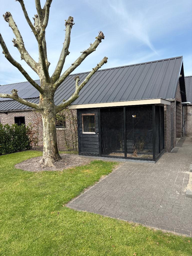 Volière, Dieren en Toebehoren, Vogels | Hokken en Kooien, Ophalen, Zo goed als nieuw, Hout, Volière