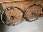 Mavic Ksyrium wielset , nieuw !, Fietsen en Brommers, Fietsonderdelen, Ophalen of Verzenden, Nieuw, Racefiets, Wiel