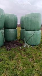 Kuilbalen van nieuw ingezaaid grasland, Ophalen of Verzenden