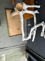 Papegaaien zitboom met voerbak, Ophalen