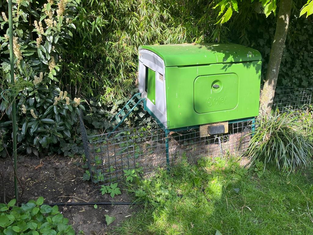 EGLU CUBE - KIPPENHOK, Ophalen, Zo goed als nieuw, Kippenhok of Kippenren