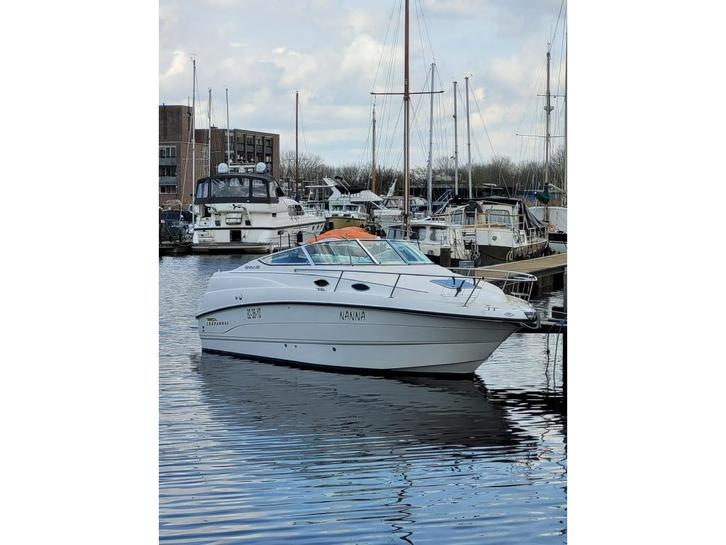 Chaparral, Watersport en Boten, Speedboten, Gebruikt, 6 meter of meer, Benzine, 200 pk of meer, Polyester