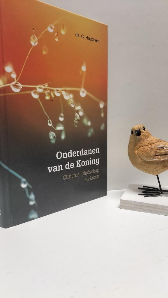 Hogchem, Ds. C;Onderdanen vd Koning deel 1:, Boeken, Ophalen of Verzenden, Gelezen, Christendom | Protestants