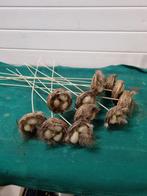 instekers vogelnest met eieren 12x, Ophalen of Verzenden, 'T Olde Gre-j, Info@toldegrej.nl, Endepoelstraat 20f Didam