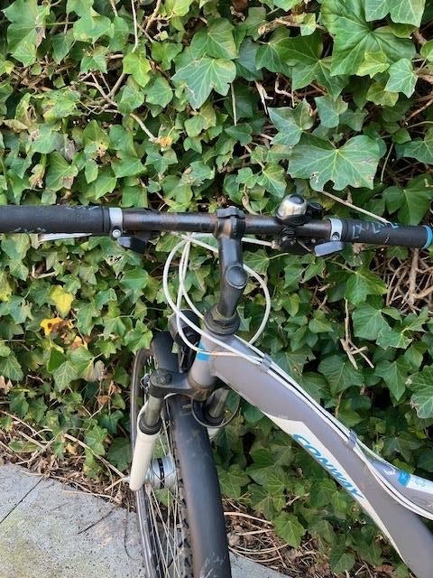 Conway Mountainbike, Overige merken, Gebruikt, Hardtail, Heren